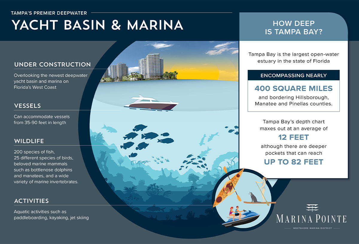 Yacht Basin and Marina – Marina Infographic
