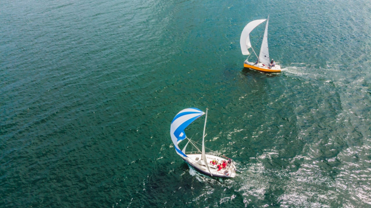 Two sailboats with colorful sails on the waters of Tampa Bay