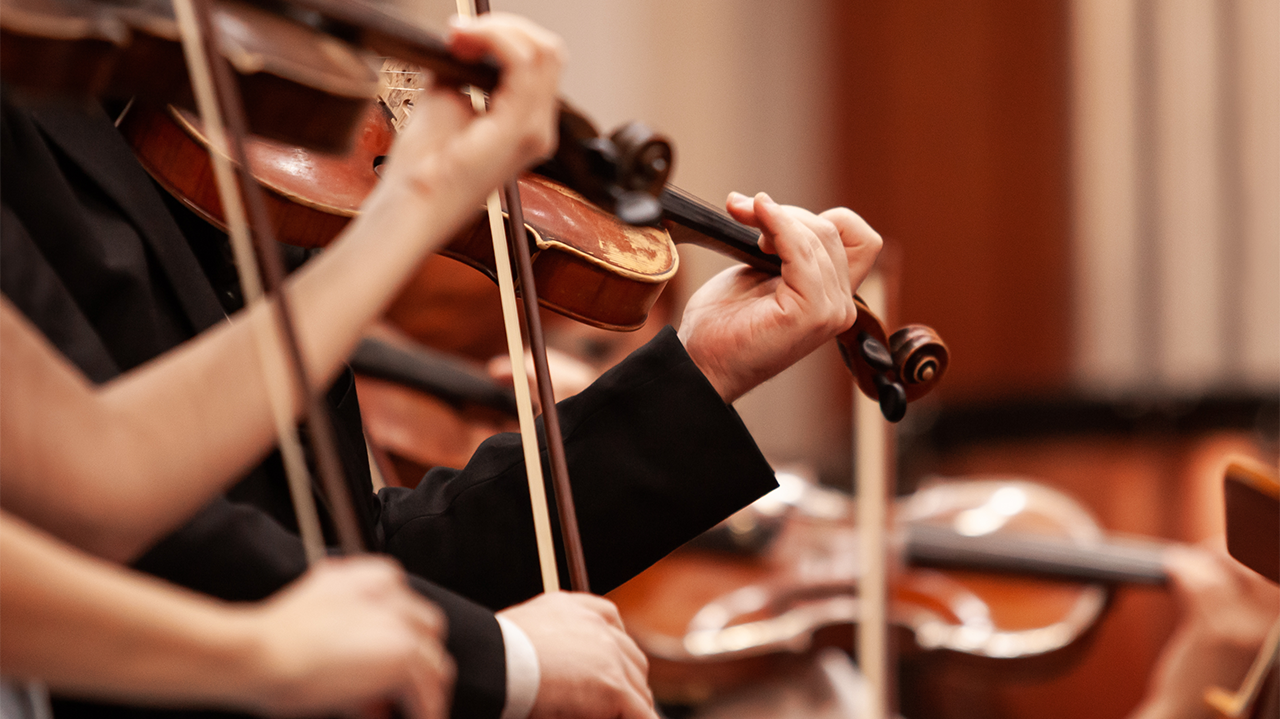 Close-up of musicians playing violins in a professional orchestra.